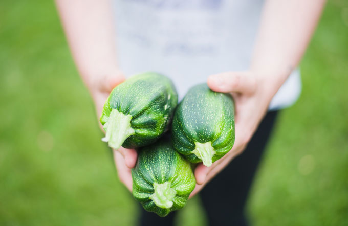 holding zucchini