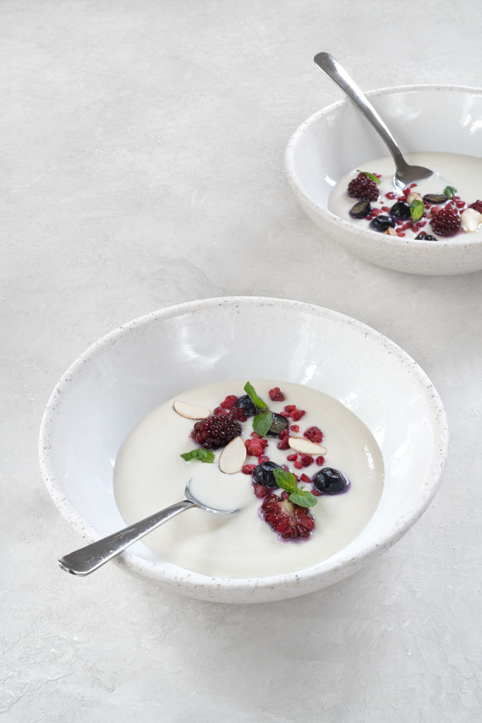 homemade almond milk yogurt recipe