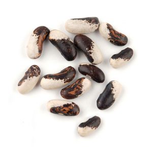 appaloosa beans
