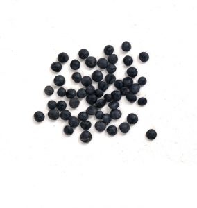 beluga lentils