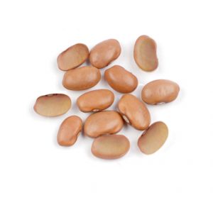 bolita beans