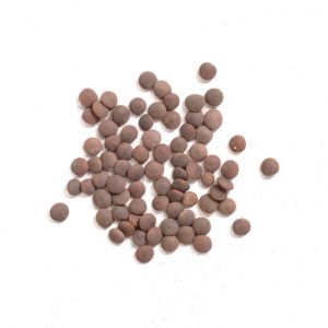 brown lentils
