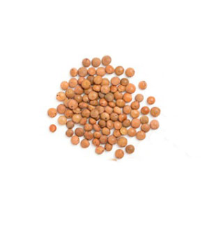 castelluccio lentils