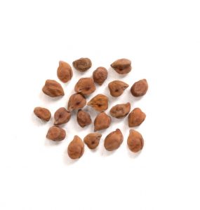 desi chickpeas