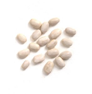 great northern beans