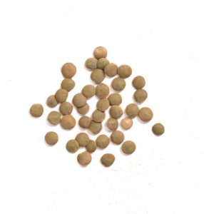 green lentils