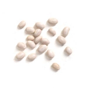 navy beans