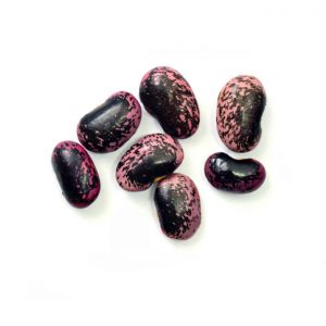 scarlet runner beans