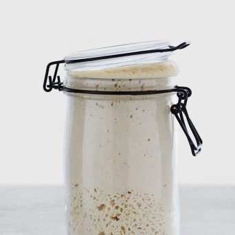 gluten-free sourdough starter