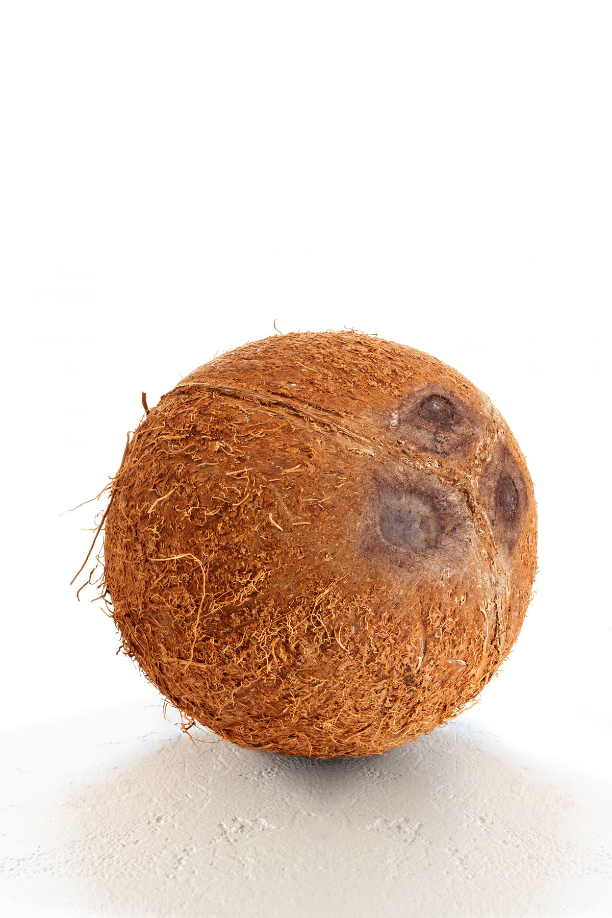 mature brown coconut - how to crack a coconut open