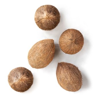 mature coconuts