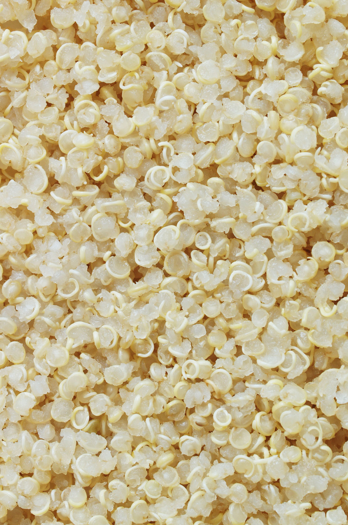 cooked quinoa
